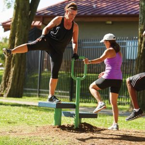 Outdoor Fitness Equipment -  Step Up Station