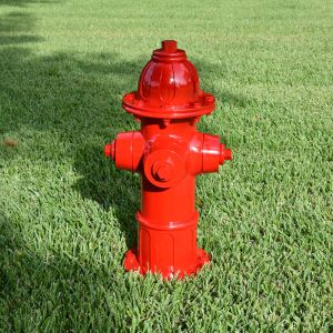 Budget Dog Park Fire Hydrant