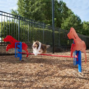 Dog Park Products - Pup Jump