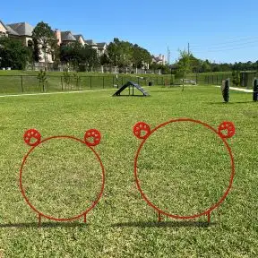 Dog Park Products - Budget Hoop Jump