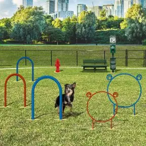 Champion Dog Park Course