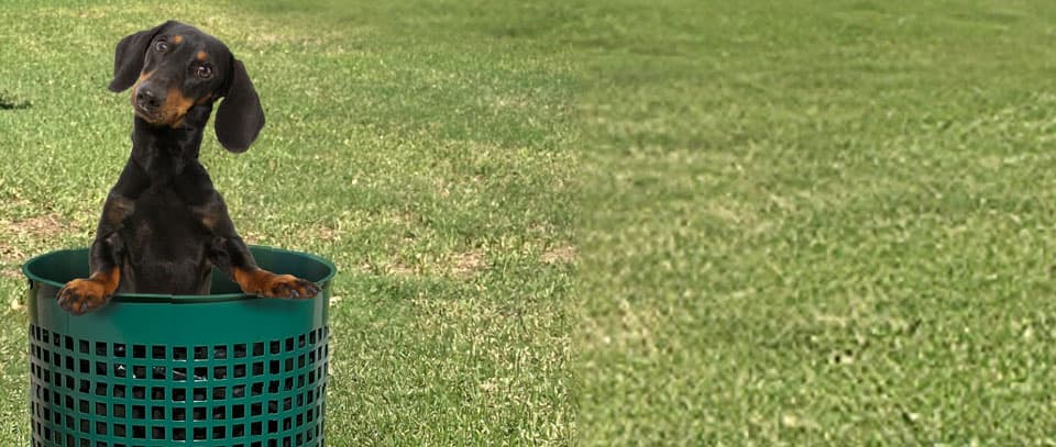 Keep Your Parks & Outdoor Areas Clean with PWE Trash Solutions. PWE's weather-resistant trash cans, sign posts, liners, and lids and covers are affordably priced and ship quickly!  